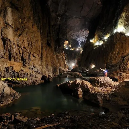 Furman - Self Check-in